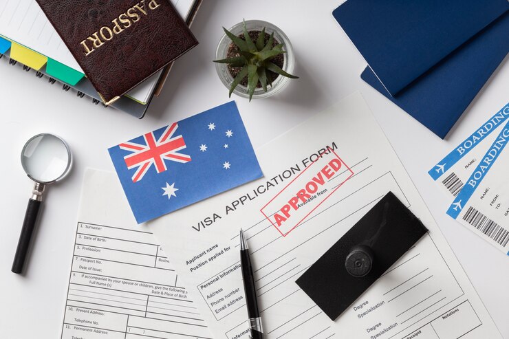 Visa Application Assistance and Review for Fast Approval